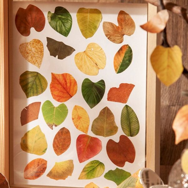 Washi stickers rollito - Hojas sueltas 50 pz (6244) - Image 3